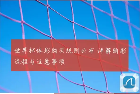 世界杯买彩票规则详解:避免投注无效